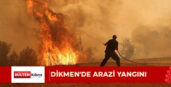20 alıç ağacı ve 20 dönüme yakın alan zarar gördü