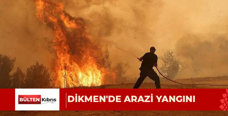 20 alıç ağacı ve 20 dönüme yakın alan zarar gördü