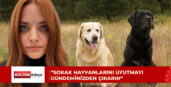 ALTIN PATİLER DERNEĞİ: “UYUTMA SEÇENEĞİNİ GÜNDEMDEN ÇIKARIN”