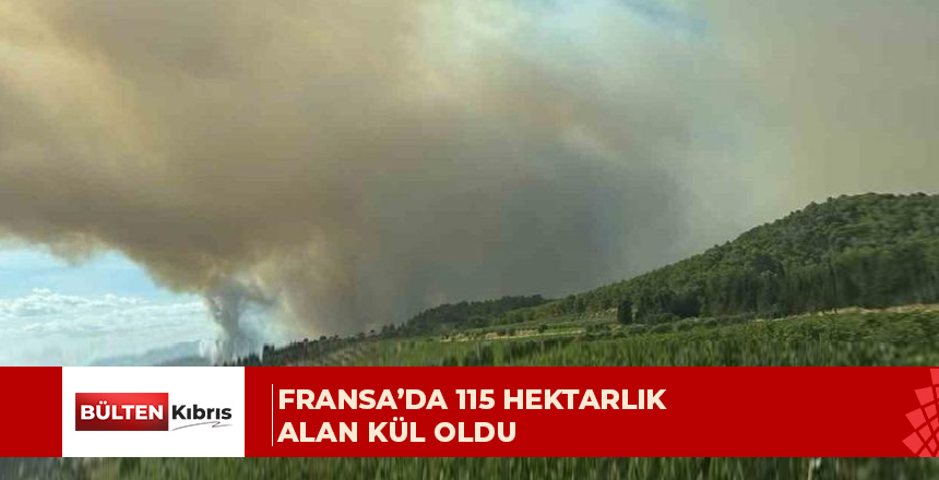 24 Haziran’da başlayan orman yangını henüz kontrol altına alınamadı