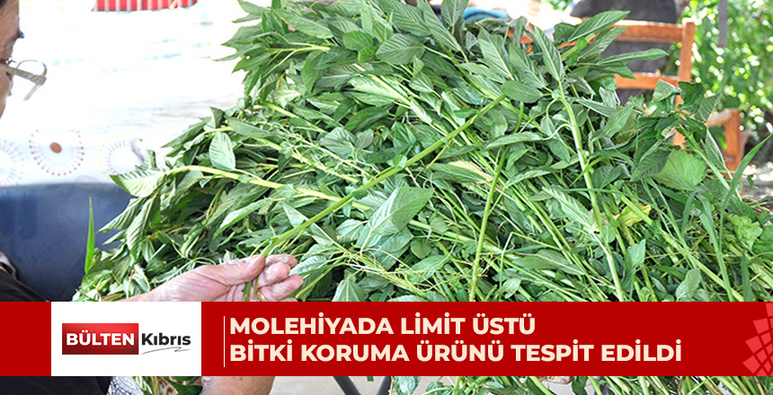 İthal ürünlerde analizi yapılan 44 numunenin 44’ü de temiz çıktı