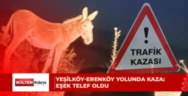 Bir araç, yoldan geçmekte olan eşeğe çarptı