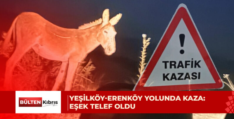 Bir araç, yoldan geçmekte olan eşeğe çarptı