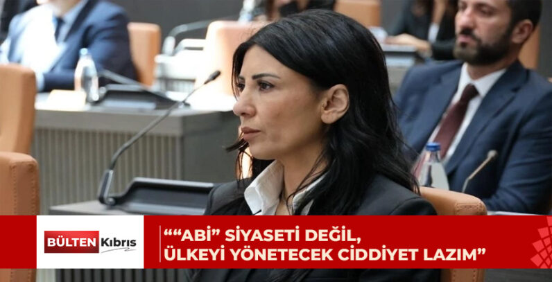“NÜFUS SAYIMI KELLE HESABI DEĞİLDİR”