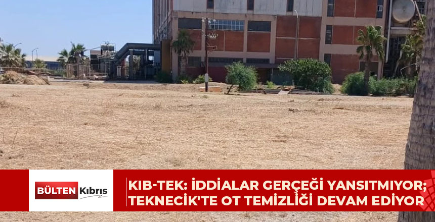 Teknecik Elektrik Santrali’ndeki ot temizliği 29 Temmuz’dan beri devam ediyor