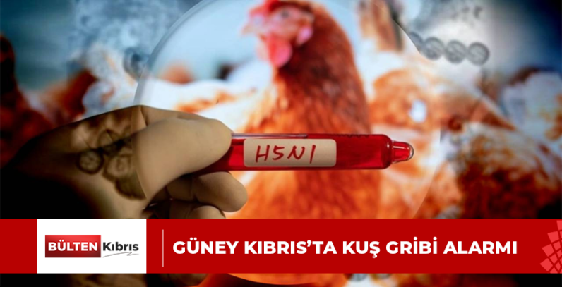 GÜNEY KIBRIS’TA KUŞ GRİBİ ALARMI