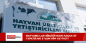 “BU SADECE KAÇAKÇILIK DEĞİLDİR”