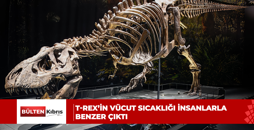 T-REX’İN VÜCUT SICAKLIĞI İNSANLARLA BENZER ÇIKTI