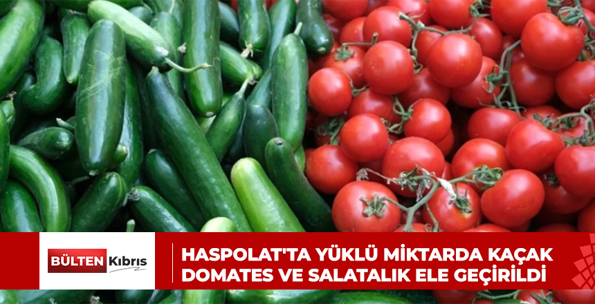 HASPOLAT’TA YÜKLÜ MİKTARDA KAÇAK DOMATES VE SALATALIK ELE GEÇİRİLDİ