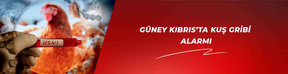 GÜNEY KIBRIS’TA KUŞ GRİBİ ALARMI