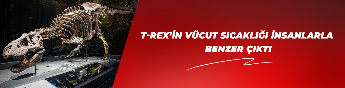 T-REX’İN VÜCUT SICAKLIĞI İNSANLARLA BENZER ÇIKTI