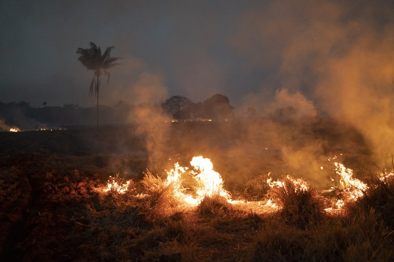 Brezilya’daki yangınlarda 1,5 milyon hektar  alan yandı