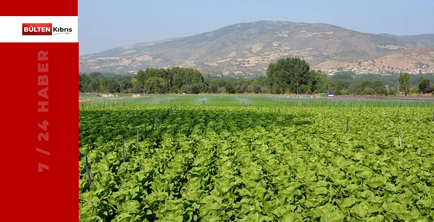 TÜRKİYE, KKTC’NİN TOPRAKLARINI KORUYOR!