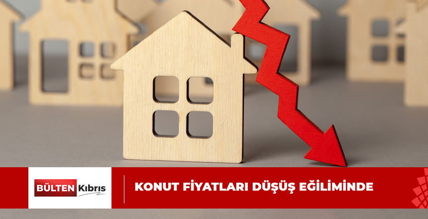 YABANCI ALICI AZALDI