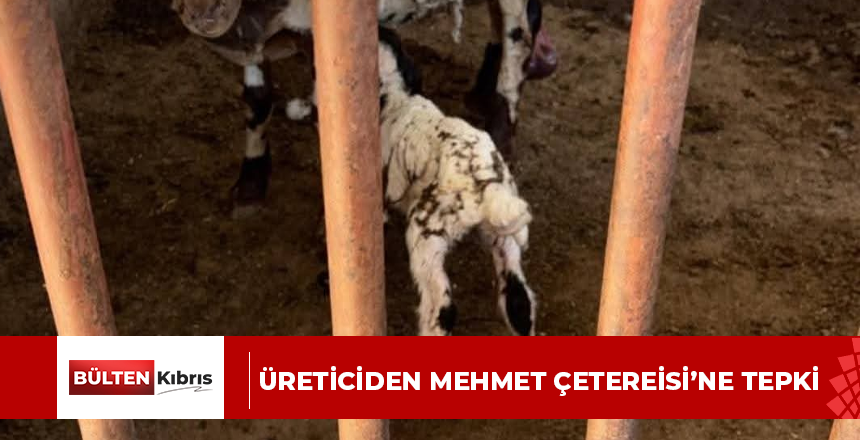ÜRETİCİDEN MEHMET ÇETEREİSİ’NE TEPKİ