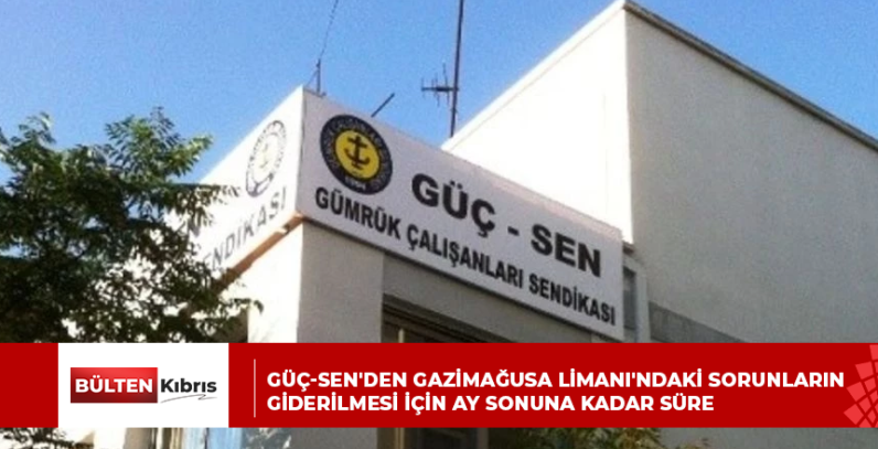 Güç-Sen’den Gazimağusa Limanı’ndaki sorunların giderilmesi için ay sonuna kadar süre