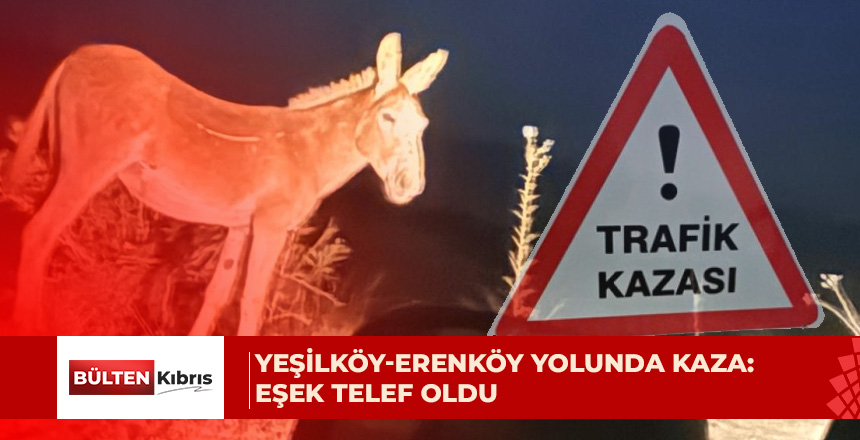 Bir araç, yoldan geçmekte olan eşeğe çarptı
